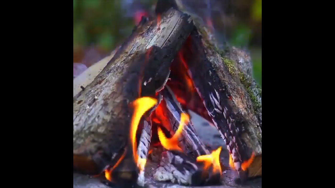 ilaxır torpaq çərşənbəmiz mübarek olsun 🔥ocağımız daim yanar olsun 🌹🍃