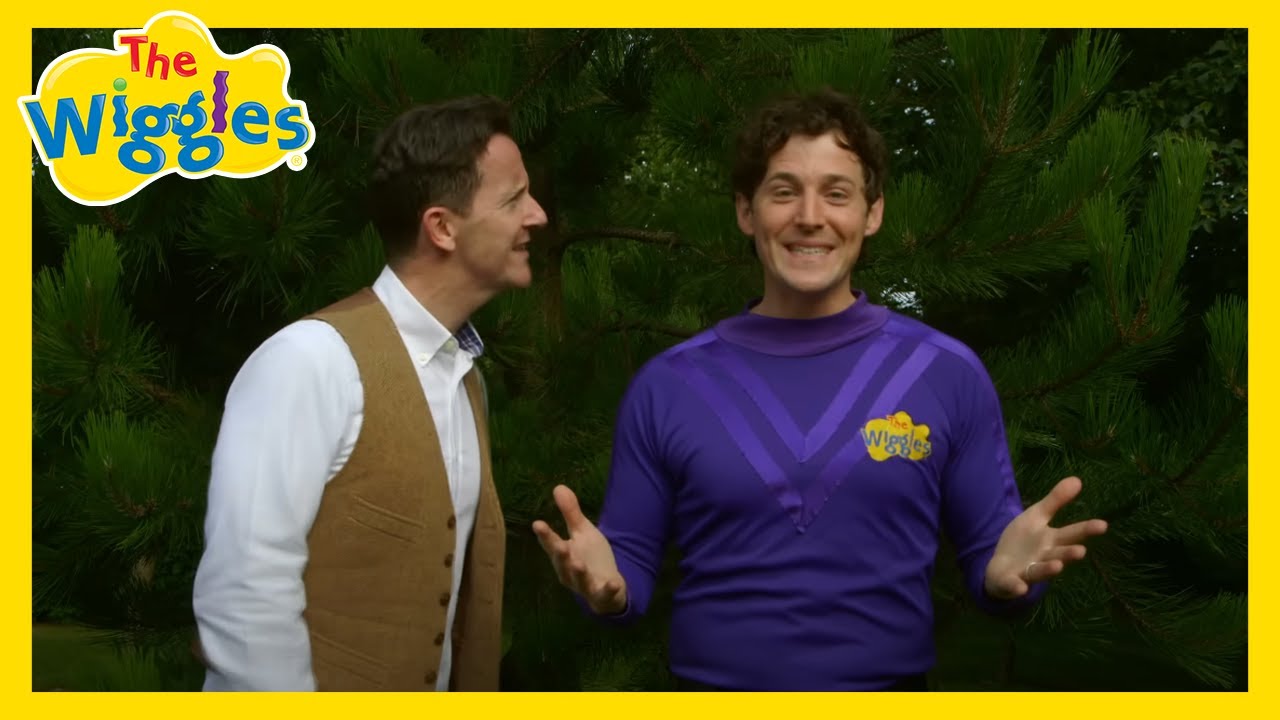 I'll Tell Me Ma 🎶 Irish Folk Song for Kids ☘️ The Wiggles (feat. Morgan Crowley)