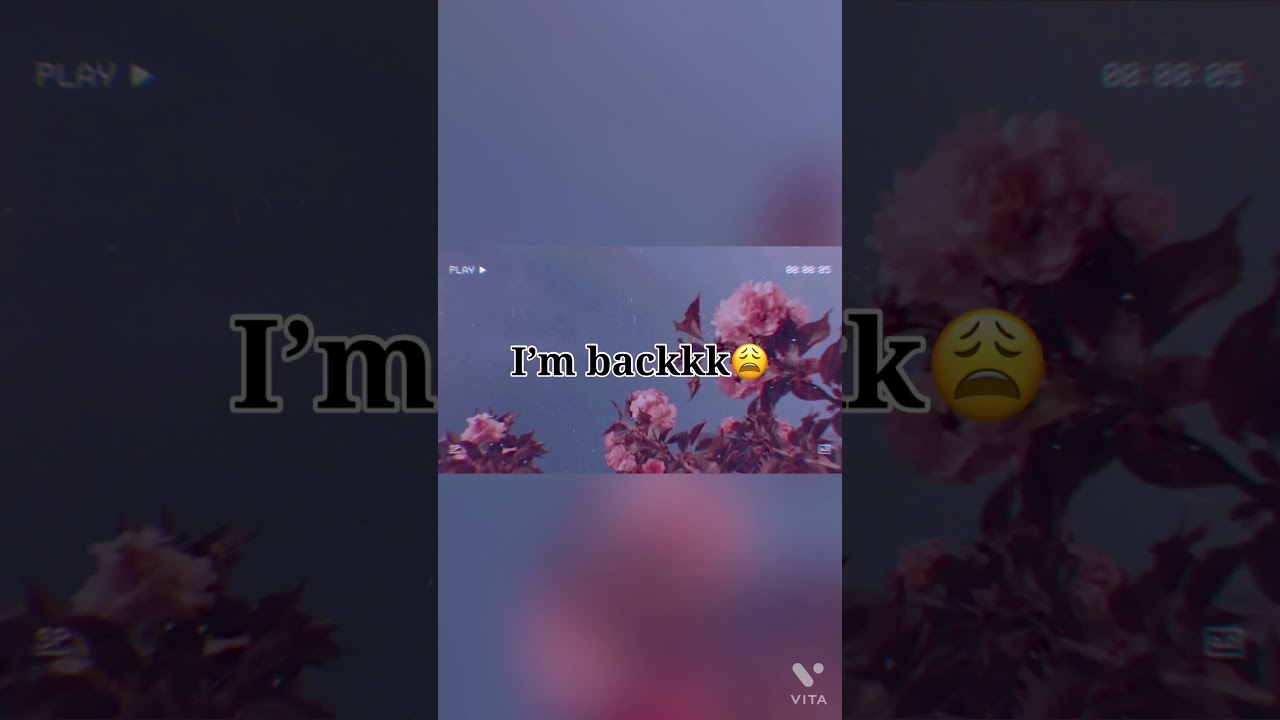 I’m back😩|Alexandra Ayala|