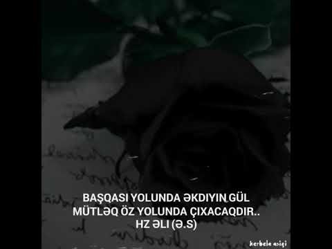 Imam Əli (ə.s) kəlamları