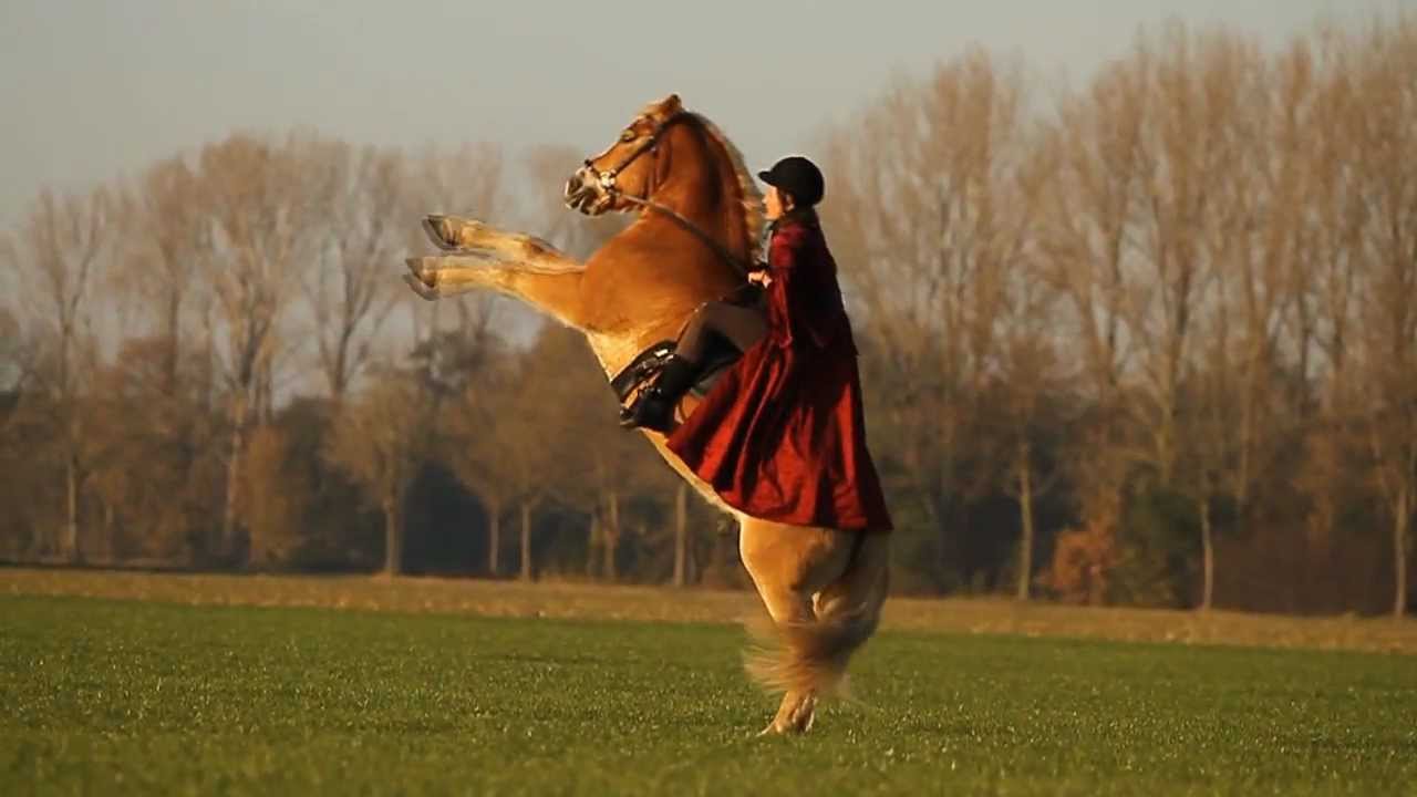 [IMPRESSION] HorseTraining with Eva Roemaat