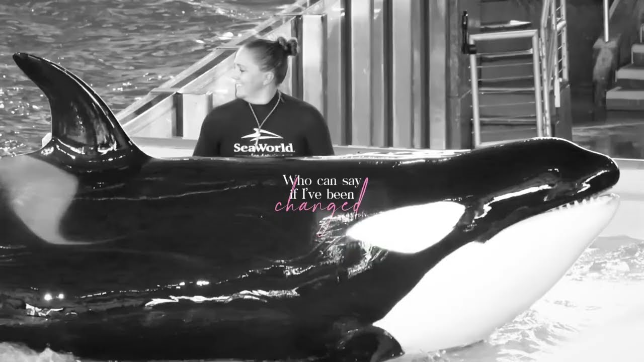 in loving memory of kamea