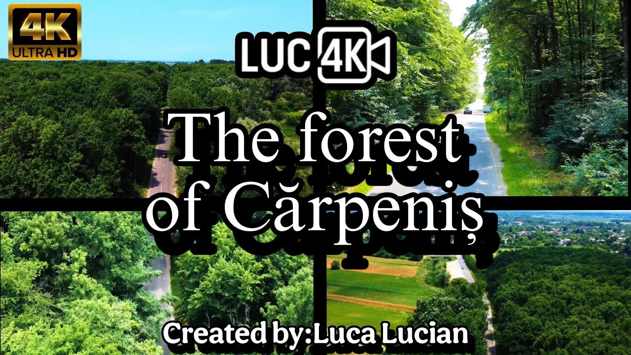 In the green heart of Cărpeniș-4K video! 🌿🌳💚