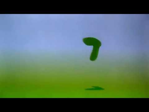 In This Corner of the World - Sky Cinema Select Intro