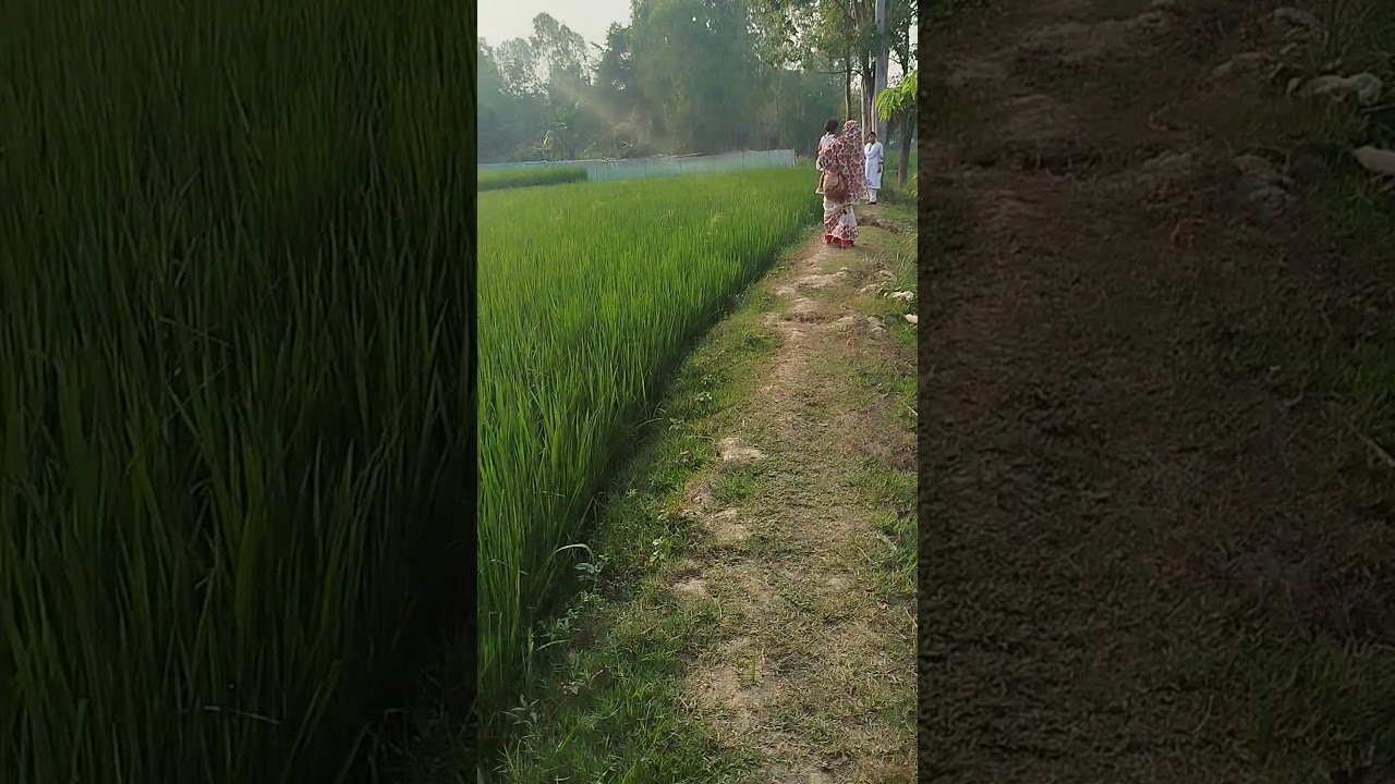 Inaan visiting village with nan-nan,mama,mum,nishi khala muni on 14 th April, 24
