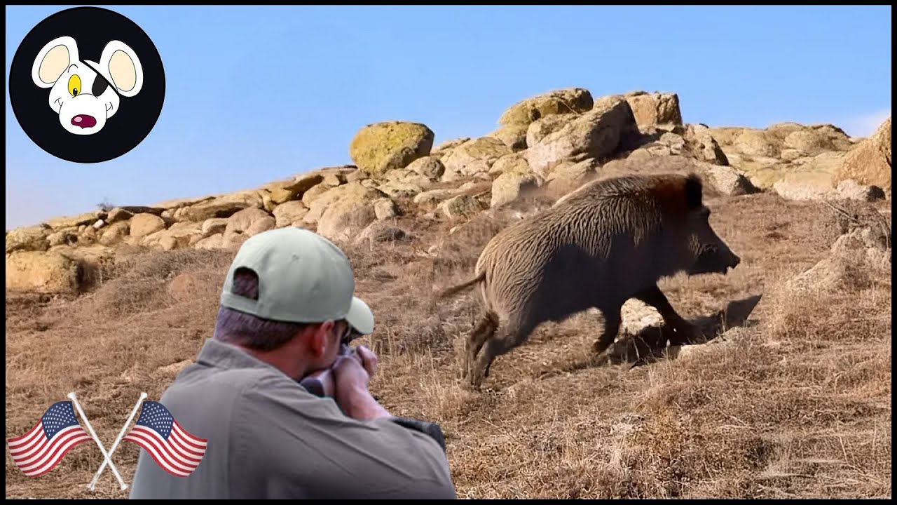 Incredible Boar Hunting Moments Of 2024 - The Best Shots Caught On Camera | Wild Boar Hunting