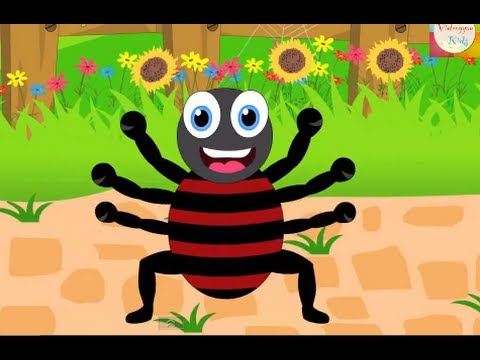 Incy Wincy Spider (Itsy Bitsy Spider) Nursery Rhyme  | Kids Animation Rhymes Songs
