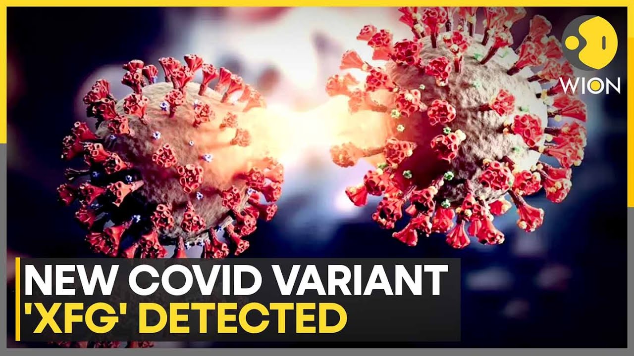 India: New Covid Variant 'XFG' Detected in India, 28 Test Positive at AIIMS Bhopal | WION