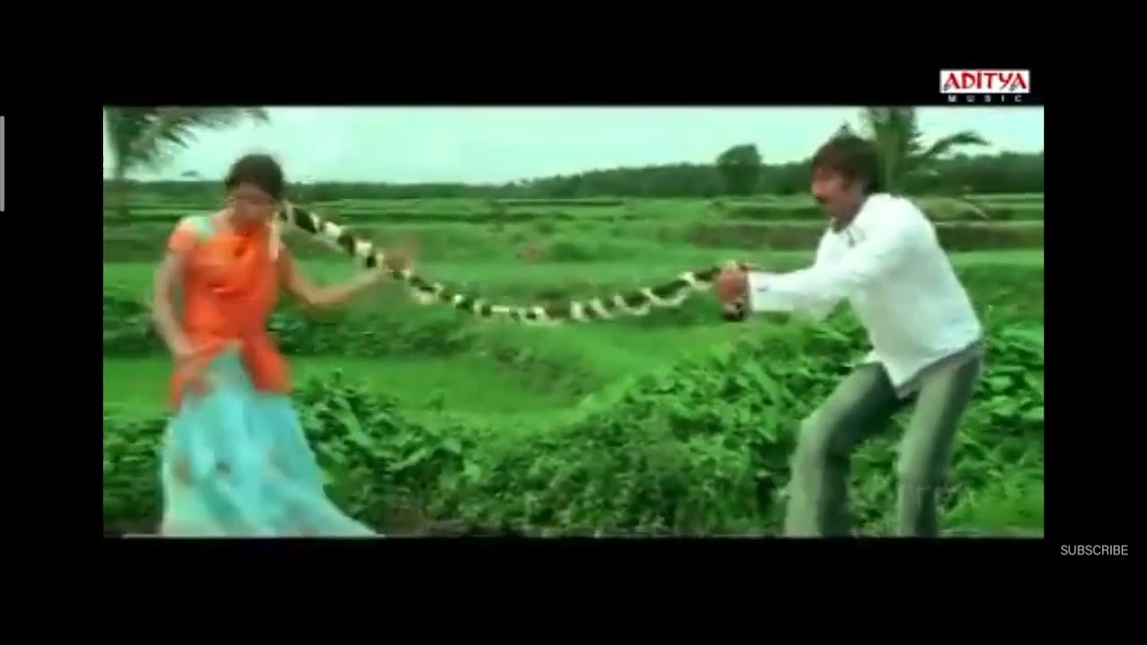 Indian long hair pulling
