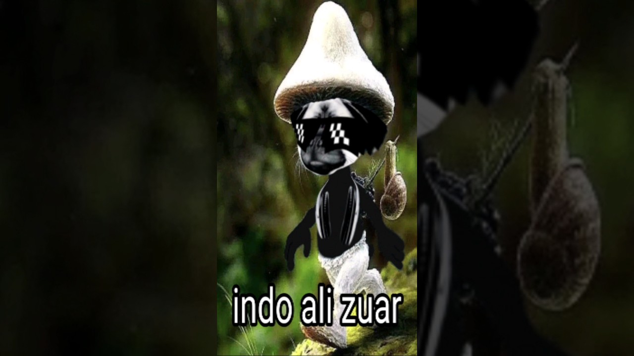 Indo ali zuar