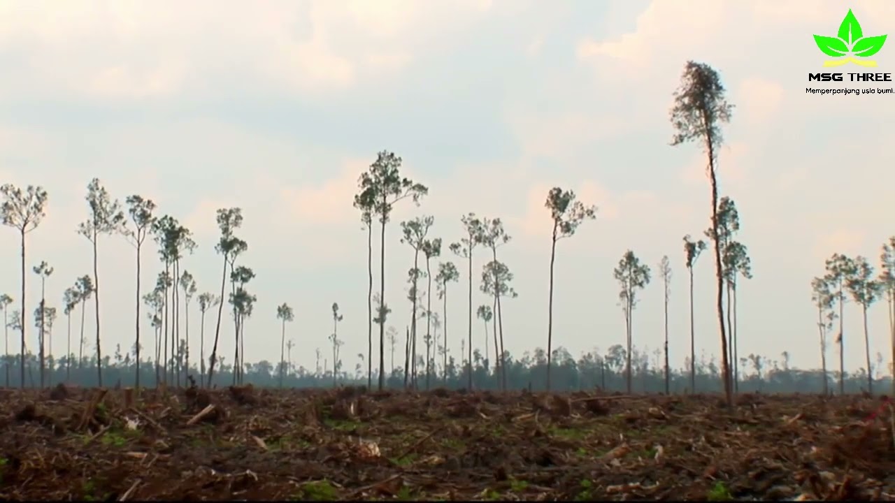 Industri Pertanian dan Hilangnya Keanekaragaman Hayati