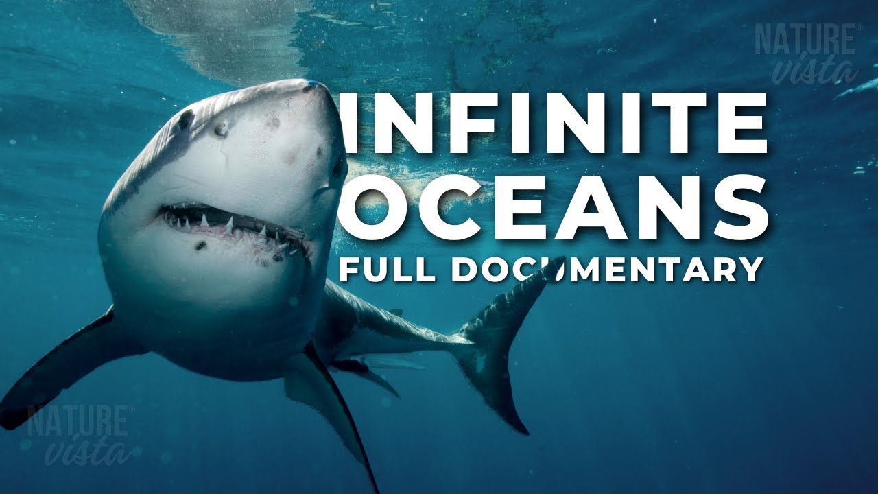 INFINITE OCEANS | A Journey Through the World's Oceans - Full Documentary