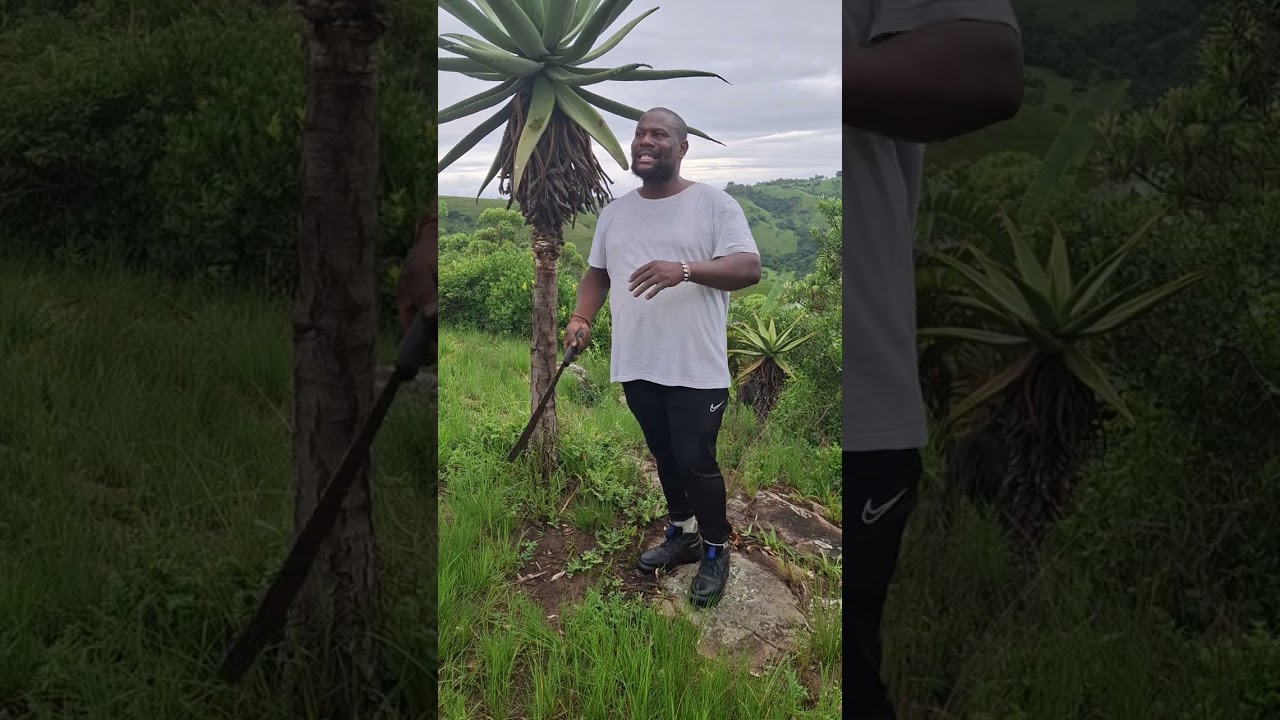 Inhlaba ilapha zonke izifo lalela