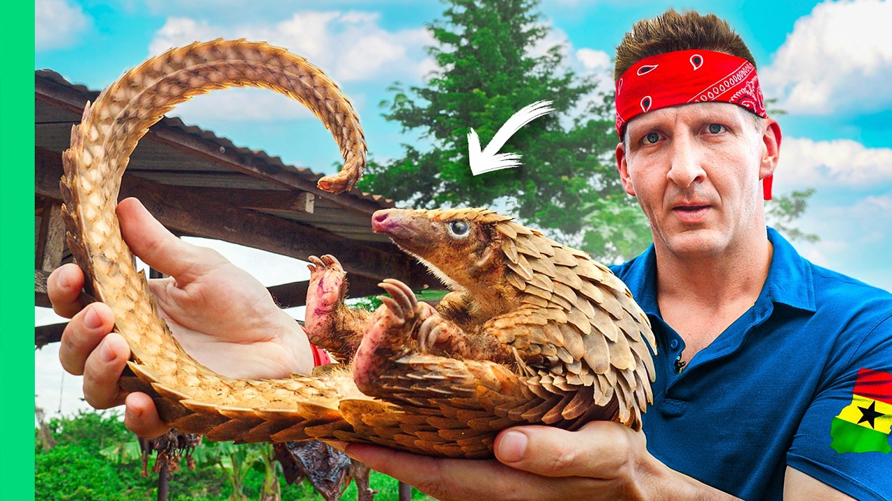 Inside Africa’s Billion Dollar Bushmeat Industry!!