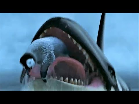 Inside an orca's mouth/licking (HF)