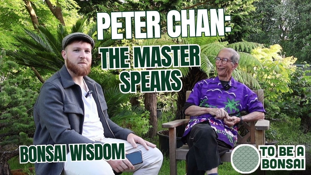 Inside the Mind of a Bonsai Master | Peter Chan Interview