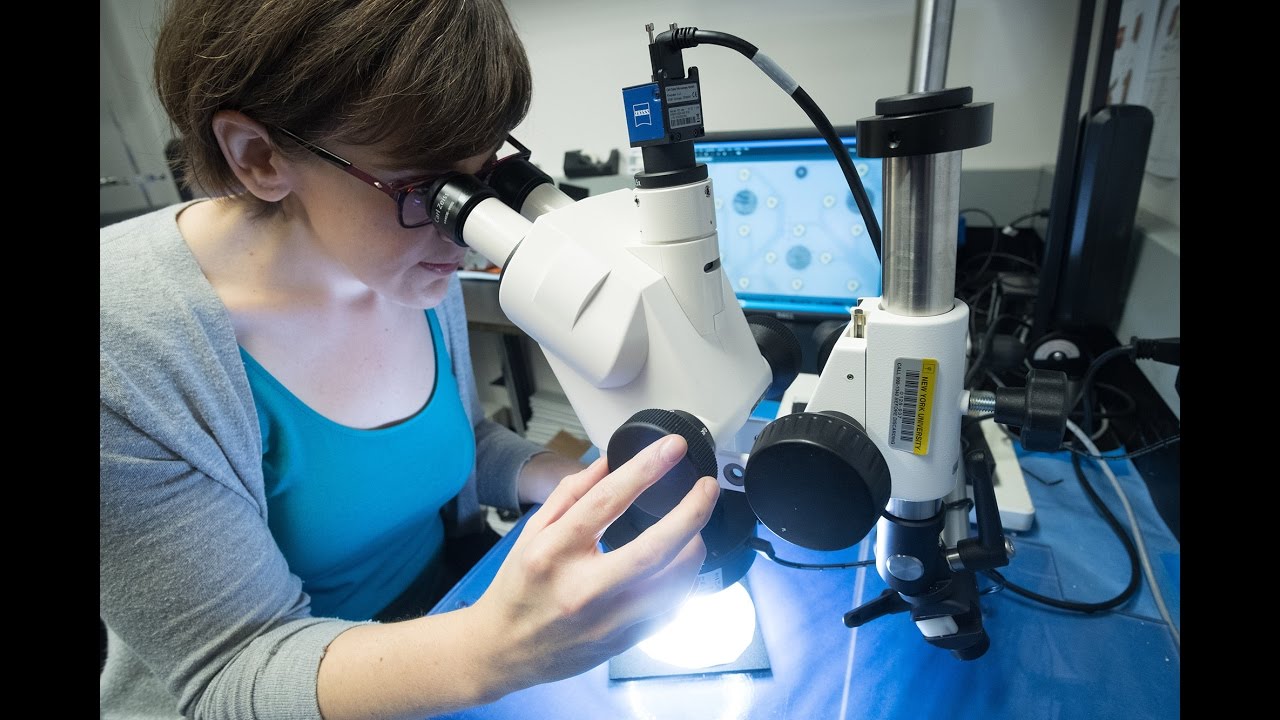 Inspiring Female Scientist: Neuroscientist Amy Orsborn