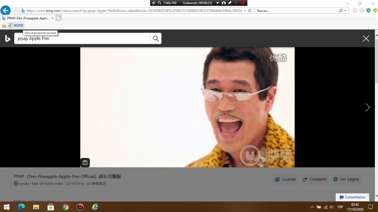 Internet Explorer WSOD #6