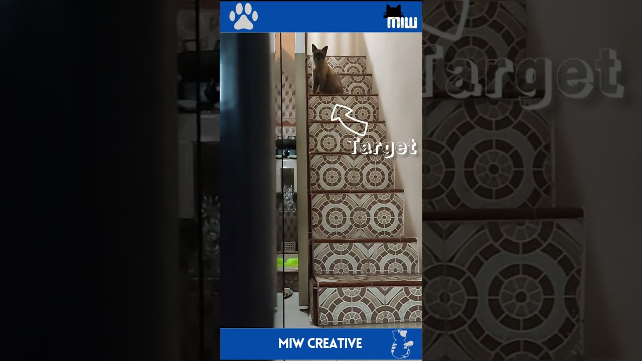 Intip bocil part 1 #cat #catlover #catlovers #short #funny #tranding #trending #viral