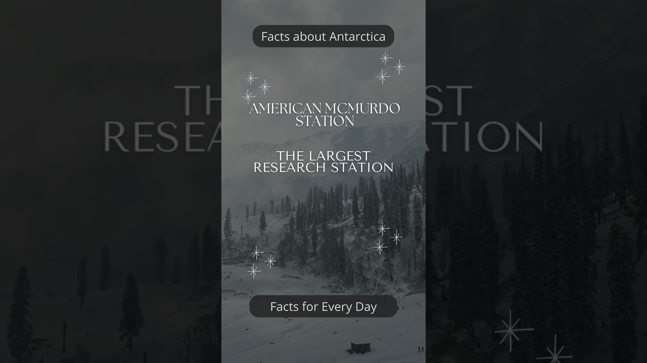 Intresting Facts about Antarctica #space #galaxy #hollywoodfacts #quotes #cinefacts #travel #respect