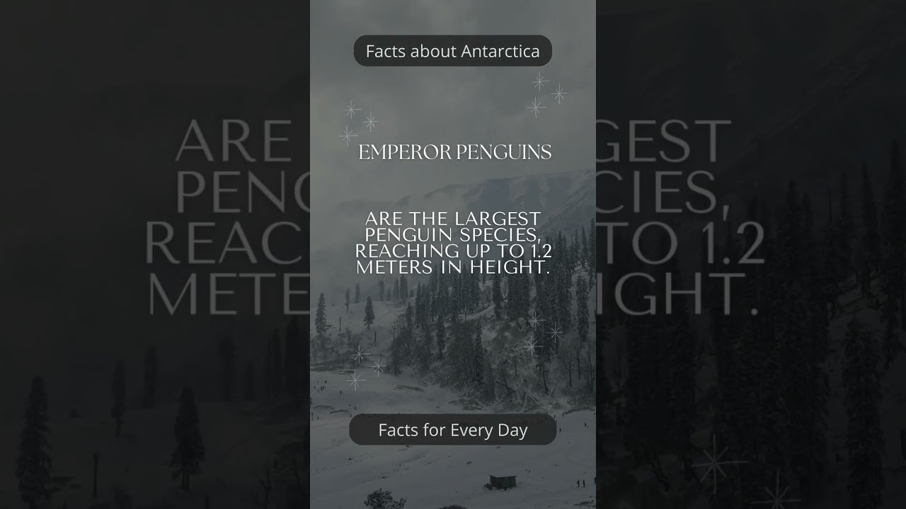 Intresting Facts about Antarctica #space #galaxy #hollywoodfacts #quotes #cinefacts #travel #respect