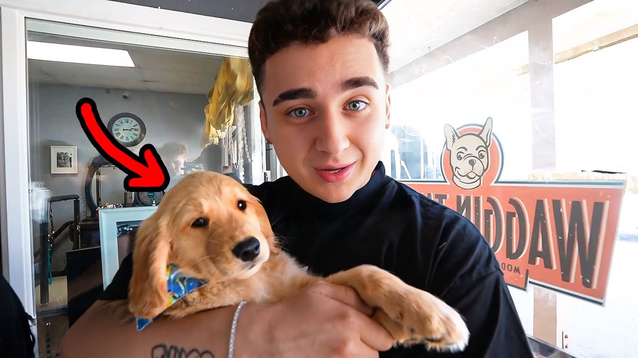 Introducing FaZe Milo