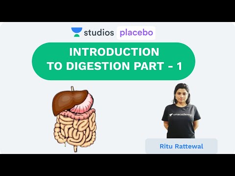 Introduction - Digestion Part- 1 | Human Physiology (Pre-medical-NEET/AIIMS) | NEET 2020