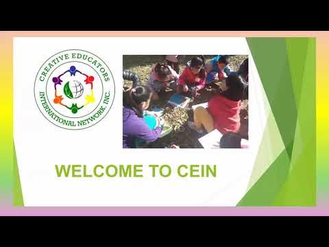 Introduction to CEIN