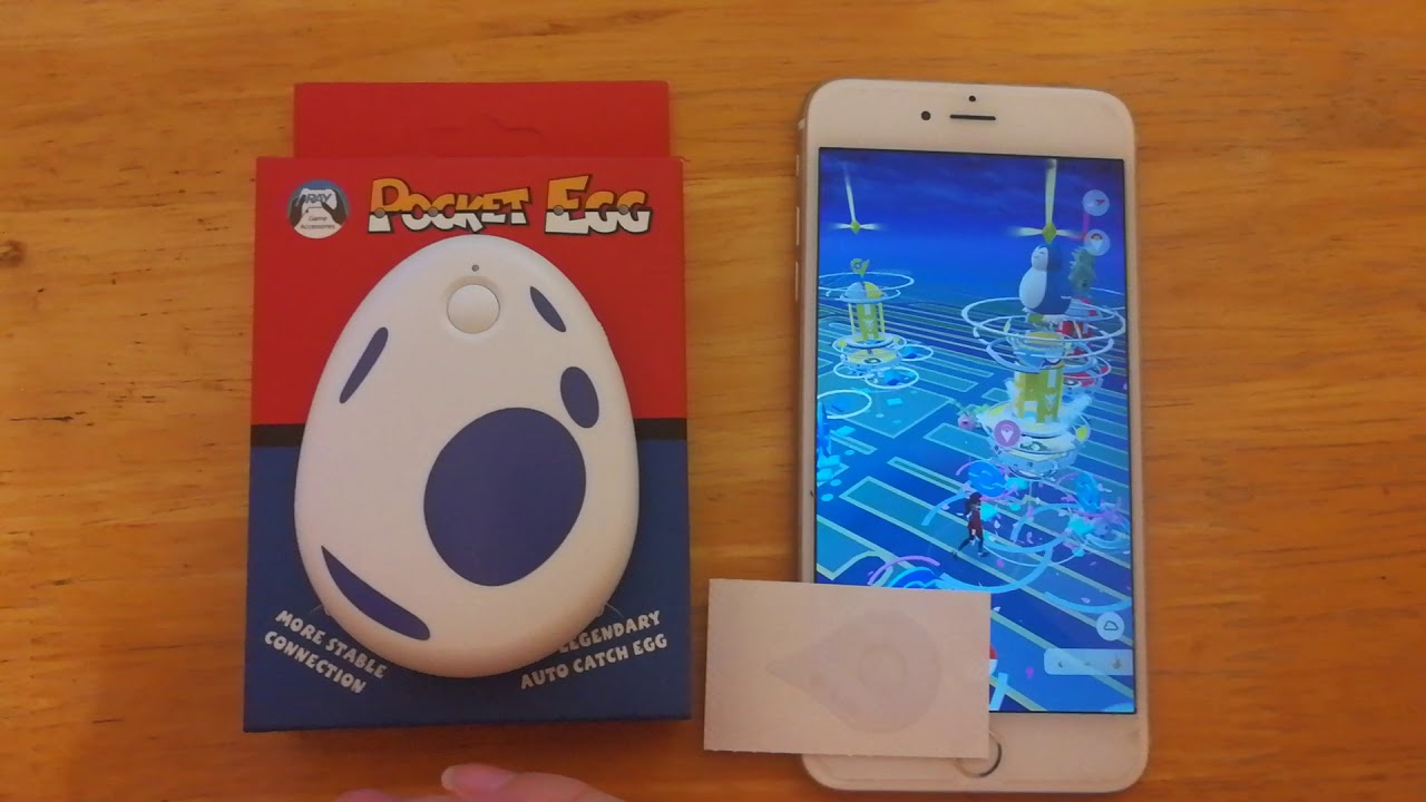 Introduction To Pocket Egg
