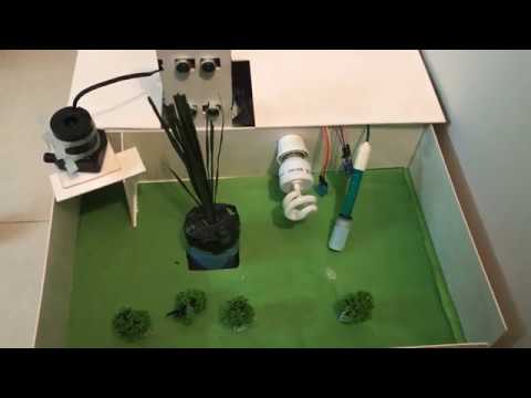 IoT based water and environment management system of paddy rice at their different growth stages