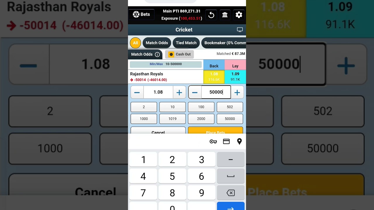 IPL betting