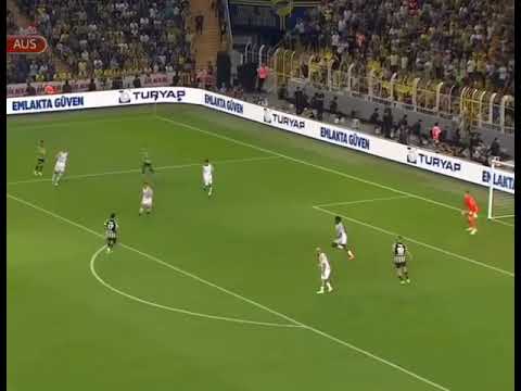 Irfan Can Kahveci laubalilik lakaytlık seviyesi