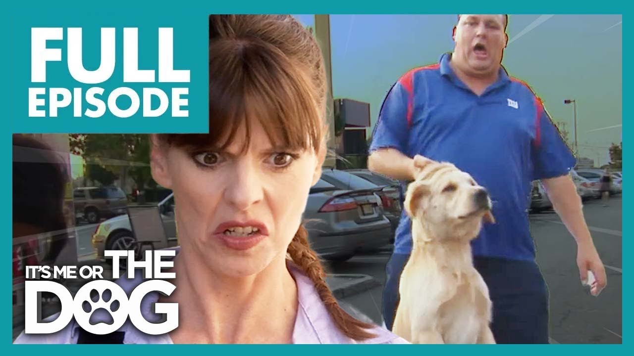 Is Abusive Owner Gonna Learn to Love His Dog?😢 | Full Episode | It's Me or the Dog