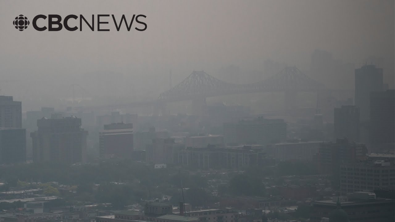 Is poor air quality impacting your health? Here’s what to look for