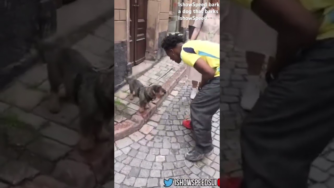IshowSpeed ​​barks at a dog that barks on IshowSpeed