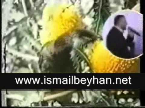 Ismail BEYHAN - Sevdim Bir Kere