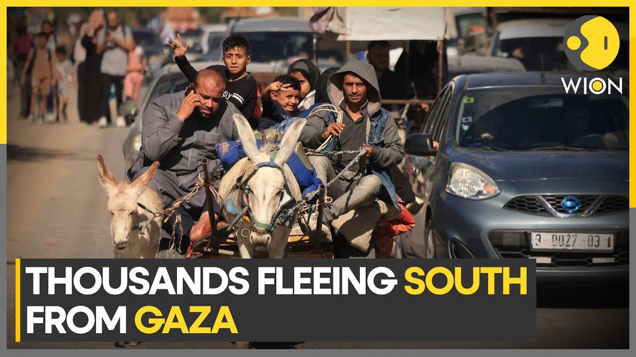 Israel-Palestine war: Tens of thousands flee South from Gaza on foot, some with nothing but clothes