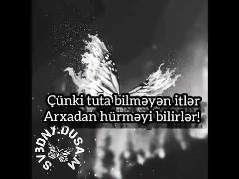 It hurer karvan kecer.