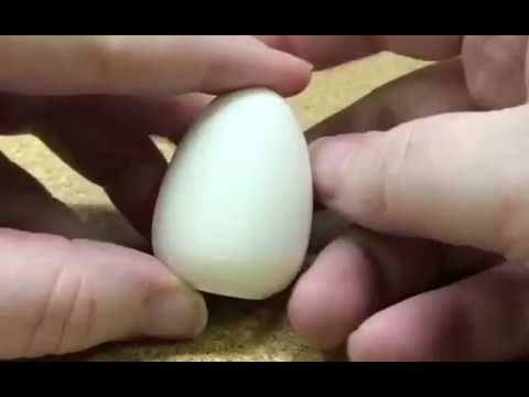It's an Easter Egg Forklift!