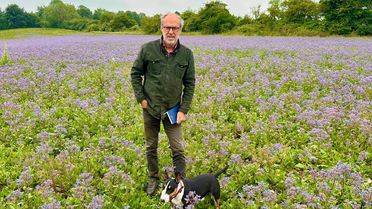It's finally rained & the crops are transformed but is DEFRA about to bash farmers again?