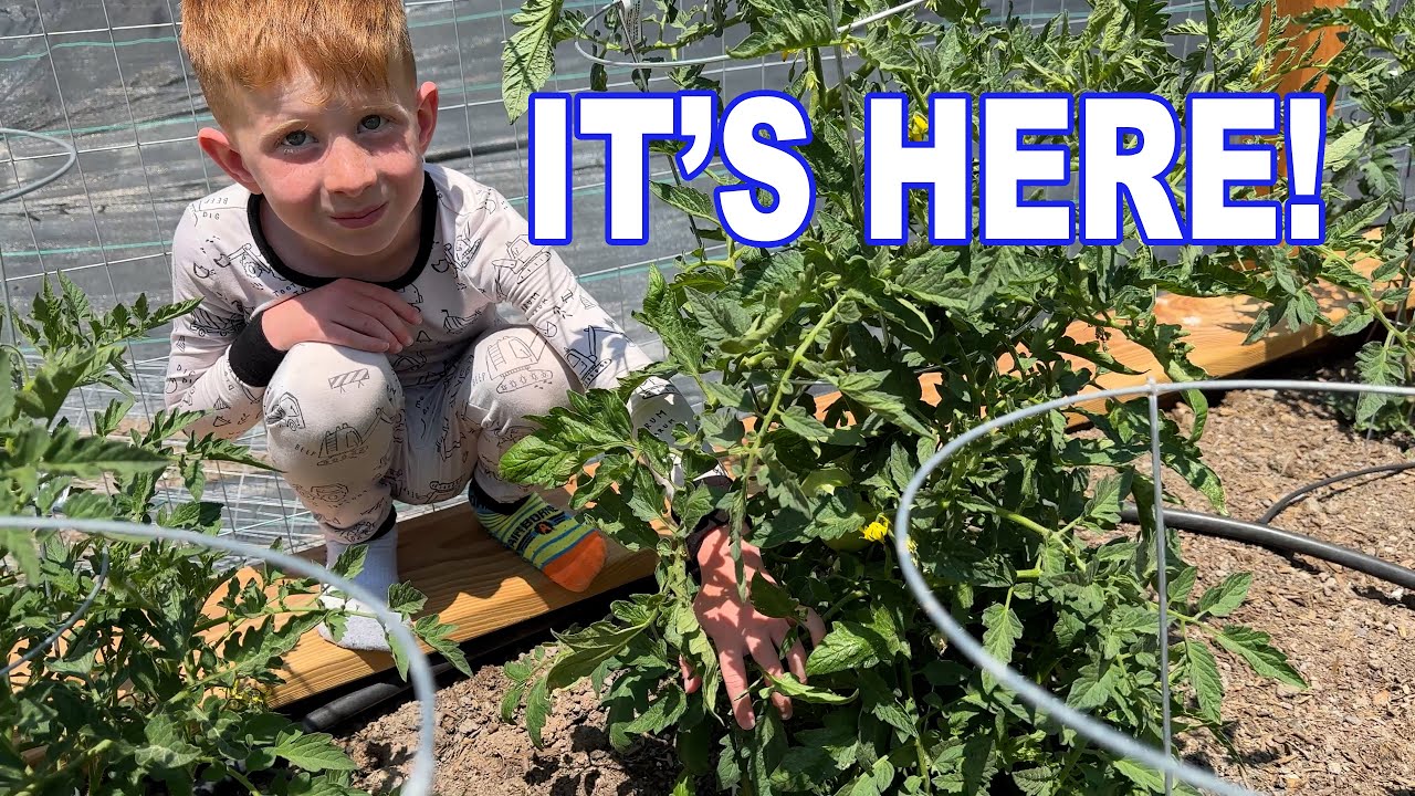 IT'S HAPPENING!