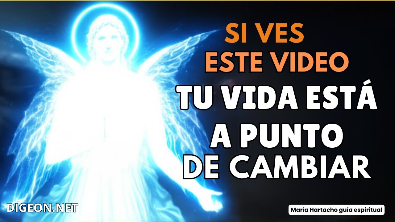 IT'S NO COINCIDENCE💌 MESSAGE FROM THE ANGELS FOR YOU - DIGEON - - VERTI Teaching