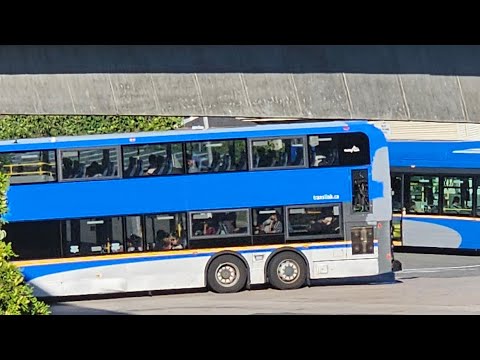 it's warm weather Live watch here in New Westminster BC Canada