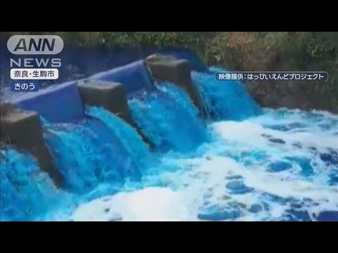 川が“青く変色”一体なぜ　「尋常じゃない…」住民困惑【スーパーJチャンネル】(2025年6月12日)