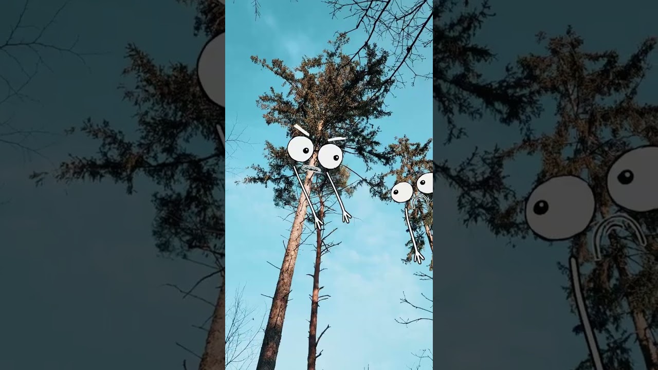 Ja ich hör ja schon auf mir diesem Meha Meha Song 😅