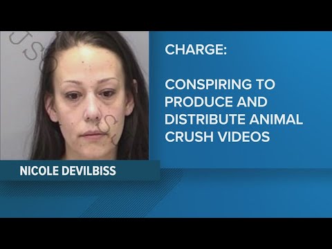 Jacksonville woman accused of distributing 'animal crushing' videos. Here's what that means