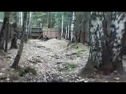 Jagdterrier & boar # 2