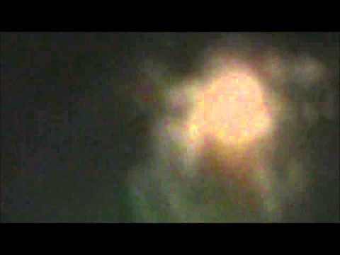 Jagdterrier Effie tracking a doe in the dark 1-20-13
