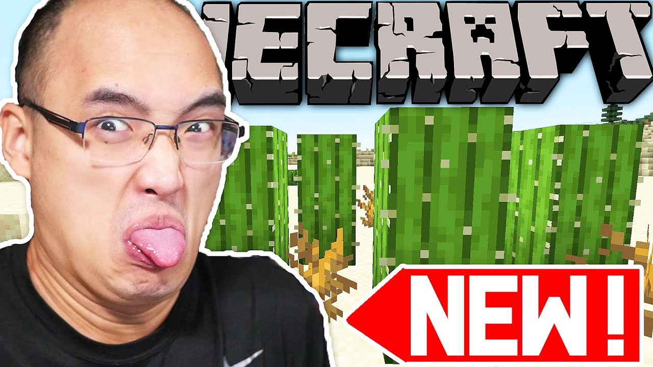 J'AI ENFIN DÉCOUVERT UN NOUVEAU BIOME SUR MINECRAFT !