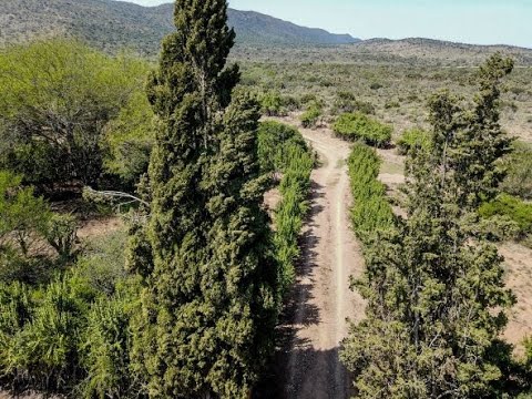 Jansenville, Eastern Cape, Home & Hectare